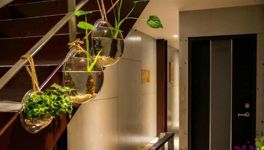 جياوكسي Yy Elleys Home المظهر الخارجي الصورة